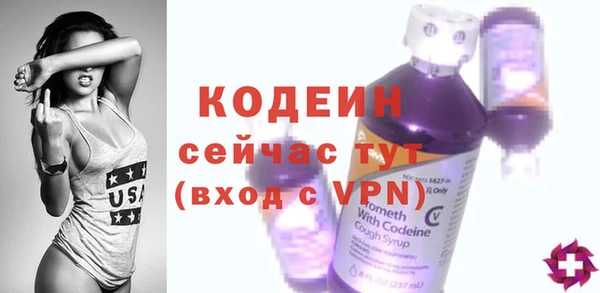 соль ск Бородино