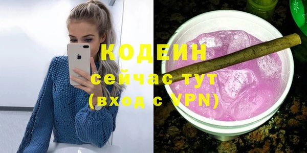 соль ск Бородино